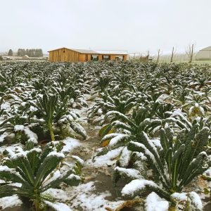 480219565_4312002125693061_6140558772486421362_n