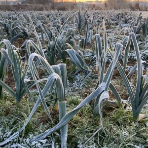 482226888_1193747832759824_3953793734344570087_n