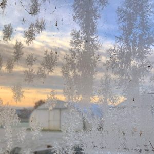 482252627_1193747782759829_6728285565001994733_n