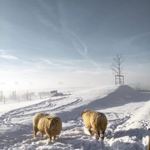 490533900_1222450736556200_460980745059525127_n