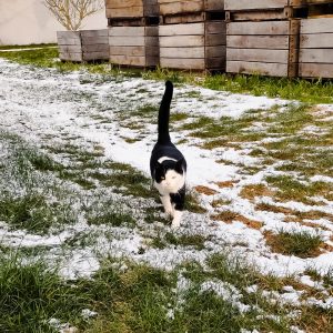 WhatsApp Image 2026-01-05 at 13.48.54